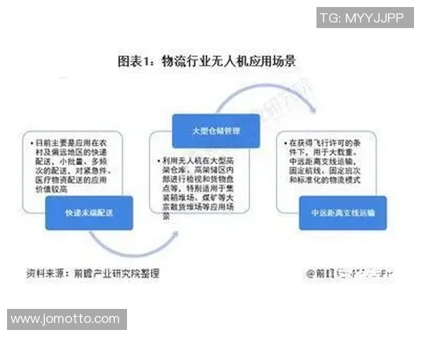 上海极限运动队的灵活性探讨与发展现状分析