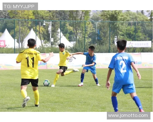 沈职足球：青春拼搏的绿茵场上，展现团队精神与奋斗不息的魅力