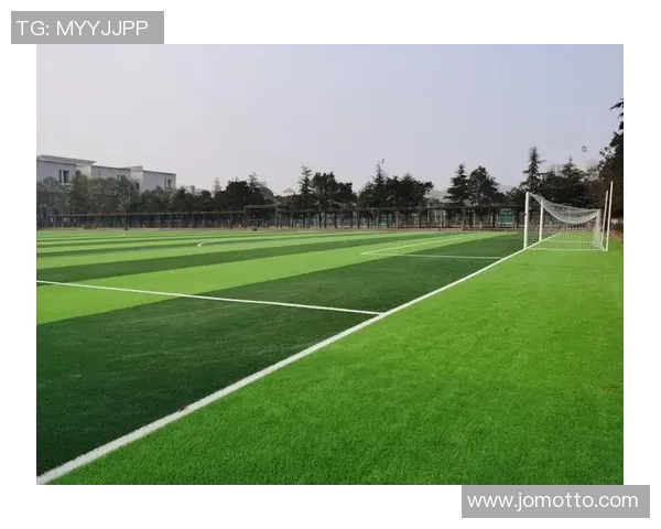 阳泉足球公园：打造城市绿地与足球文化融合的新地标