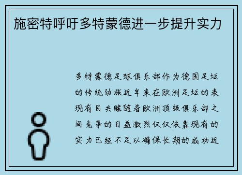 施密特呼吁多特蒙德进一步提升实力