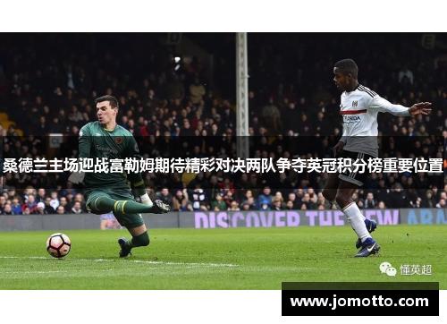桑德兰主场迎战富勒姆期待精彩对决两队争夺英冠积分榜重要位置