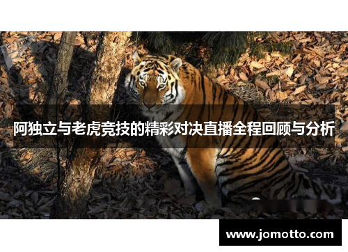 阿独立与老虎竞技的精彩对决直播全程回顾与分析